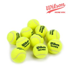 윌슨 트레이너 테니스공 연습용 레슨용 WRT132200, 선택완료