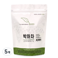 아이앤티 박하차 삼각 티백 60p, 72g, 5개