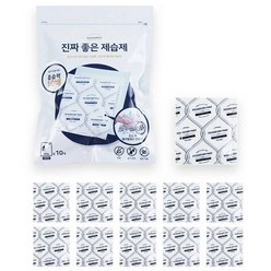 새남맥스 진짜 좋은 제습제, 300g, 1개