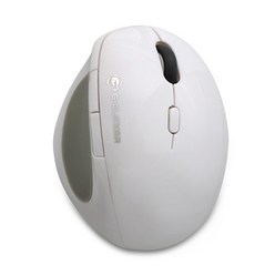 G-Clicker 인체공학 무소음 무선 버티컬 마우스 GM-W810, 화이트