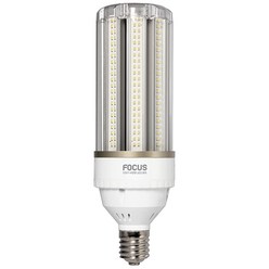 포커스 신광 LED 보안등 투명 E39 75W, 주광색, 1개