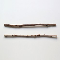 아이엠블룸 인테리어 소품 자작나무 가지 100cm 2p, 혼합색상