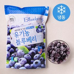 호재준 유기가공식품 인증 블루베리 (냉동), 500g, 1개