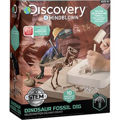 디스커버리마인드블론 공룡 화석 캐기 3D 벨로시랩터, 1개