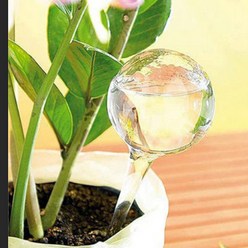 마리포레 화분 자동급수기 식물 물주기 화이트 L, 2개