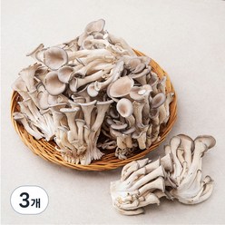 국내산 무농약 느타리버섯, 1kg, 3개