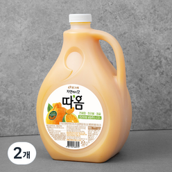 빙그레 따옴 청귤&한라봉, 2300ml, 2개