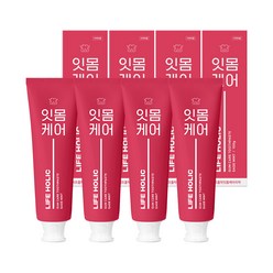 라이프홀릭 잇몸케어 치약 세이지민트향, 100g, 4개