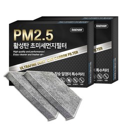 대한 PM2.5 고효율 활성탄 자동차 에어컨필터 2개입, 아반떼AD- PC158