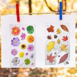 가을꽃낙엽 투명방수스티커(3장 1set), 낙엽 투명 스티커 3장 1set