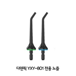 다덴픽 YXY-801 구강세정기 전용 노즐팁 2개