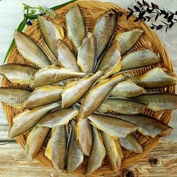 국내산 반건조 두절 참조기 500g 14-17마리 구이 조림 저염, 14~17마리/500g 내외, 1개