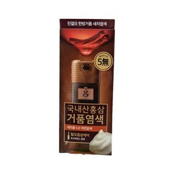 려 진결모 한방거품 새치염색 국내산 홍삼 거품 염색 40g, 2개, 5.0자연갈색