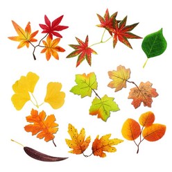 가을 낙엽 시리즈_조화 10종, 노란 플라타너스잎