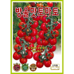 헬프팜 방울맛토마토 50립 토마토씨 씨앗 종자 KS종묘, 1개