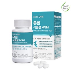 유한양행 식물성 MSM 식이유황 관절 연골 2개월분 1개, 240정