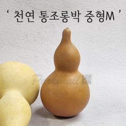 전통 조롱박 중형M (천연 통조롱박 표주박 장식소품 만들기 민속공예 전통인테리어), 품번2027