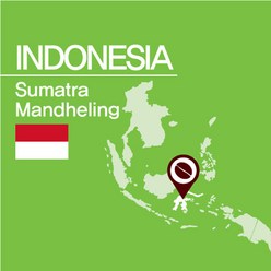 갓볶은커피붐 인도네시아 수마트라 만델링 1kg, 02.아주굵게분쇄/프렌치프레스, 1개