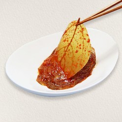 산마을농장 노란 단풍 삭힌 양념콩잎김치 장아찌, 2개, 500g