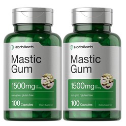 호바흐 Horbaach Mastic Gum 매스틱 검 1500mg 100정 2병, 100정 2병세트, 1개