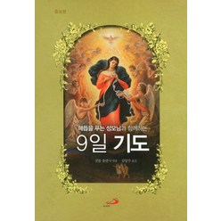 매듭을 푸는 성모님과 함께하는 9일 기도, 성바오로