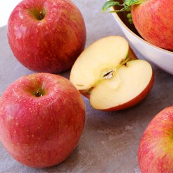 (당도보장) 경북 영주 감홍사과 꿀 햇사과, 1박스, 5kg