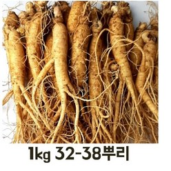 실속형 실속형인삼 국내산 인삼 250g 750g 1kg 옵션선택 (믹서용 홍삼용 실속인삼), 실속인삼 1kg (35-40뿌리), 1개