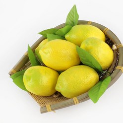 더담고 모형과일 레몬 1줄 과일소품 가짜 촬영 인조 소품 야채모형 인테리어 장식품