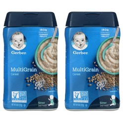 거버 Gerber 2단계 아기시리얼 멀티그레인 이유식 453g x2팩 Multigrain Baby Cereal 16 oz, 상품상세참조, 2개