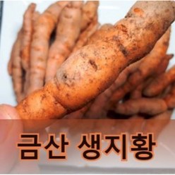 생지황 2021년 햇 지황 500g 600g 1kg (금산), 1개