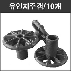 표피고정