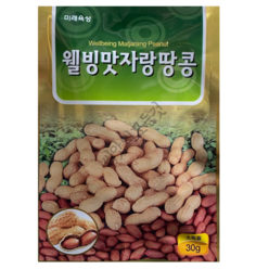 국산땅콩종자30g 재래땅콩씨앗 고소한땅콩씨, 1개