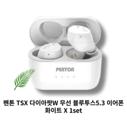 [본사 정품] PENTON 펜톤 TSX 다이아팟W 무선 블루투스5.3 이어폰 화이트 1set 블루투스5.3 40m이내 생활방수 9.4g 자동연결 음성명령 듀얼마이크 HD보이스, PENTON TSX다이아팟W