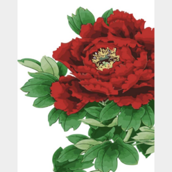 (특대형 물감 3배) 모모픽스페인팅 붉은 목단 꽃그림 75x60cm DIY명화그리기 세트 복들어오는 부귀 명예 아름다움 모란 함박꽃