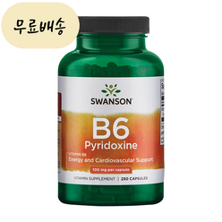 스완슨 비타민B 피리독신 100 mg 250개입 비타민B6 [미국 직배송], 1개, 250개