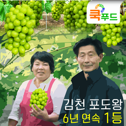 [산지직송] 김천 샤인머스켓(포도왕 수상) 2kg 4Kg 고당도 프리미엄, 특등급 4Kg(4~5송이), 1개