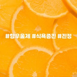 에센셜오일 오렌지스윗 Orange sweet E.O, [ 100ml ]