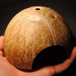 은신처 관상용새우 어항 코코넛 장식