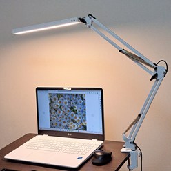 인터리더 LED 스탠드 책상 공부 독서등 엔틱 침대 조명, 클램프형, 클램프형 화이트