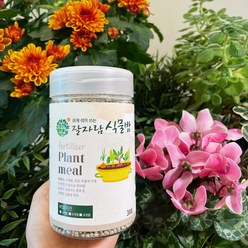 8개월 비료효과 잘자람 식물밥 완효성 복합비료 식물영양제, 2개, 300g
