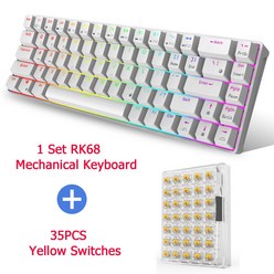 RK68(RK855)/RK61 Pro 65% Bluetooth RGB 핫 스왑 가능 기계식 게임용 키보드 컴팩트 68 키 무선 게이머 키보드, CHINA, Gateron Red, 흰색 RK68 스위치, 게이트론 브라운