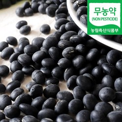 (자연마을) 국내산 무농약 서리태 검은콩 500g 1kg, 무농약서리태 500g, 1팩
