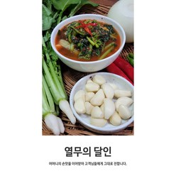 열무의달인 열무김치, 1개, 3kg