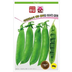 아시아종묘 콩씨앗종자 준(50g), 1개