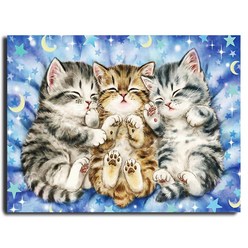 화야루이 액자 보석십자수 캔버스형 DIY 키트 40 x 50 cm, 1세트, GR330. 귀여운 고양이