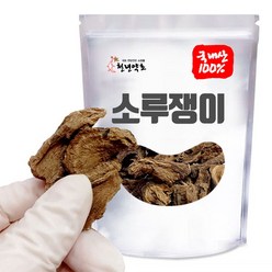 국내산 자연산 소루쟁이 소리쟁이 뿌리 300g, 1개