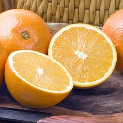 호주산 고당도 네이블 오렌지 10개 대과(250g내외), 단품