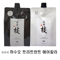 연리지 하수오 트리트먼트 헤어칼라, 5N 자연스러운갈색, 1개