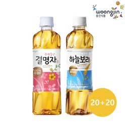 웅진식품 차음료 하늘보리/헛개/누룽지/자색옥수수/결명자 500ml 20펫 2박스, 1세트, 하늘보리20입+결명자차20입