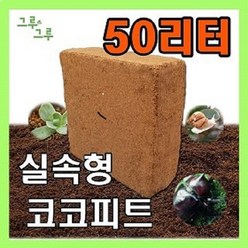 그루그루